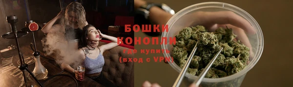 spice Верея