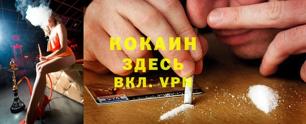 spice Верея