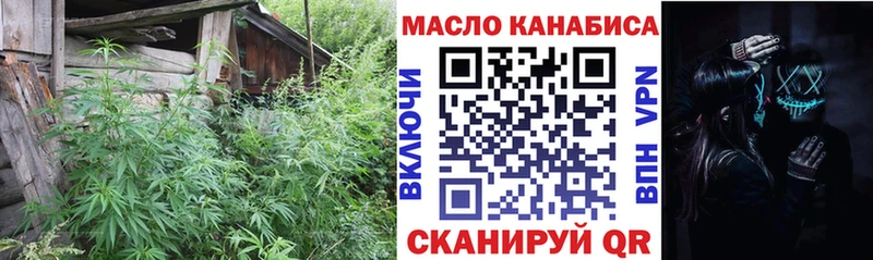 Купить  Далматово  ТГК концентрат 