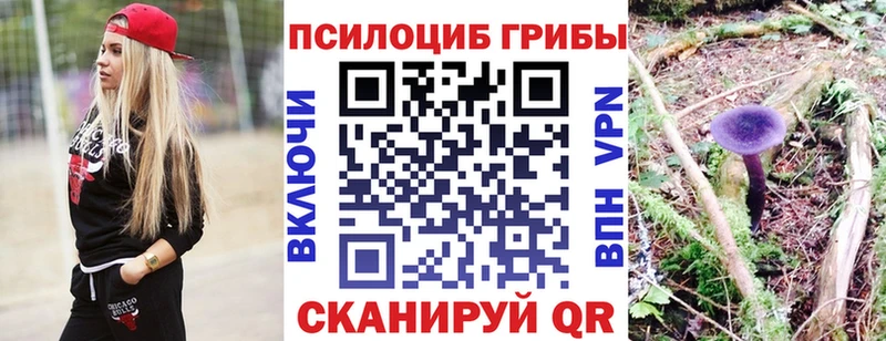 Псилоцибиновые грибы MAGIC MUSHROOMS  Купить закладки  Далматово 